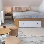 Tatil Evi Nad Potokiem *