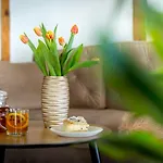Tatil Evi Nad Potokiem