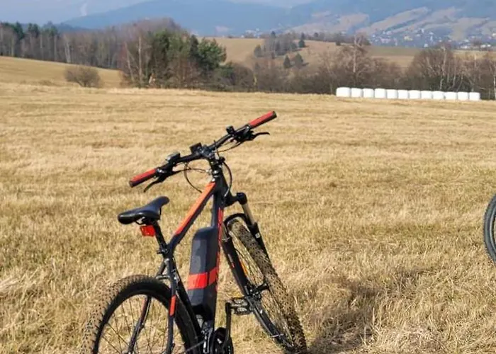 Dom wakacyjny Nad Potokiem